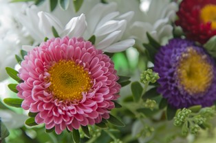 Bouquet of multi-coloured summer flowers